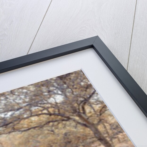 Canal lock by Assaf Frank